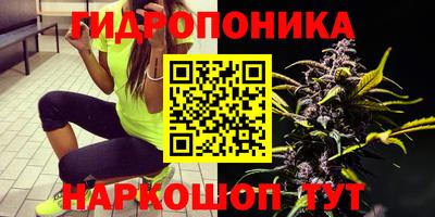 альфа пвп Ставрополь